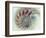 Digital Nautilus-null-Framed Premium Giclee Print