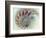 Digital Nautilus-null-Framed Premium Giclee Print