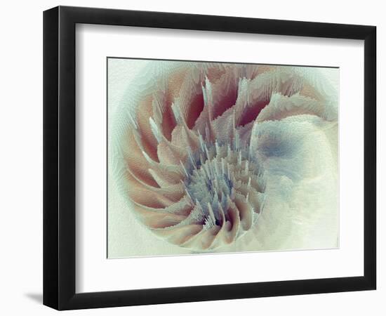 Digital Nautilus-null-Framed Premium Giclee Print