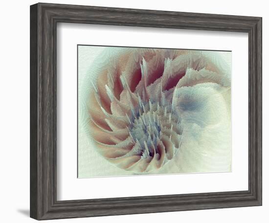 Digital Nautilus-null-Framed Art Print