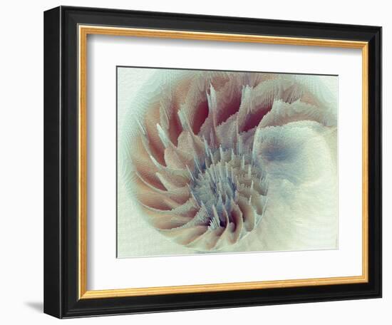 Digital Nautilus-null-Framed Art Print