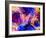 Digital Paint Series. Swirls of Fractal Brushstrokes on the Subject of Creativity and Art.-agsandrew-Framed Photographic Print