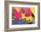 Digital Painting, Abstract Background-Andriy Zholudyev-Framed Photographic Print