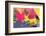 Digital Painting, Abstract Background-Andriy Zholudyev-Framed Photographic Print