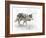 Digital Painting of Walking Wolf-abracadabra99-Framed Photographic Print