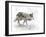 Digital Painting of Walking Wolf-abracadabra99-Framed Photographic Print