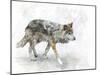 Digital Painting of Walking Wolf-abracadabra99-Mounted Photographic Print