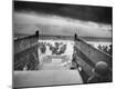 Premium Photographic Print