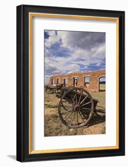 Dilapidated Wagon-DLILLC-Framed Photographic Print