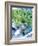 Dill, Horseradish and Chives-Stefan Braun-Framed Photographic Print