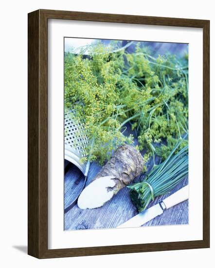 Dill, Horseradish and Chives-Stefan Braun-Framed Photographic Print