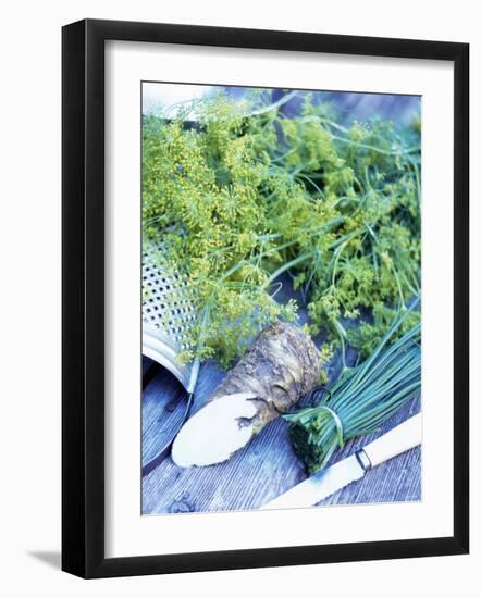 Dill, Horseradish and Chives-Stefan Braun-Framed Photographic Print