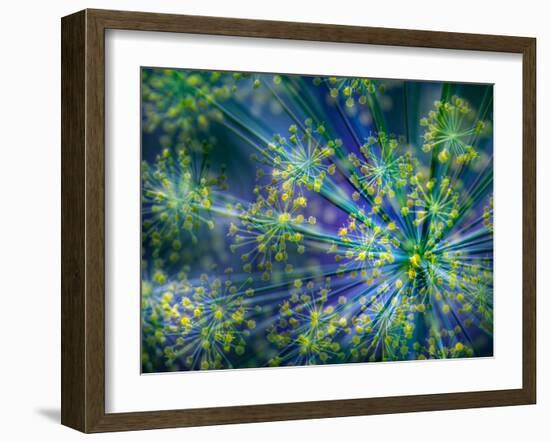 Dill-Ursula Abresch-Framed Photographic Print