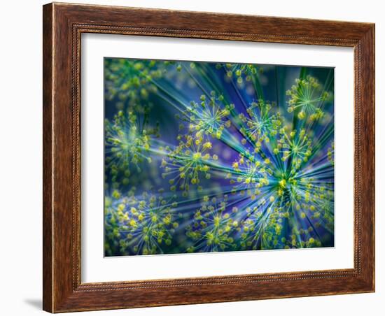 Dill-Ursula Abresch-Framed Photographic Print