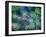 Dill-Ursula Abresch-Framed Photographic Print