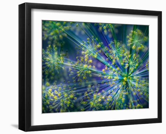 Dill-Ursula Abresch-Framed Photographic Print