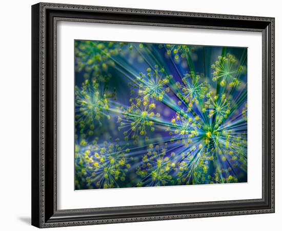 Dill-Ursula Abresch-Framed Photographic Print