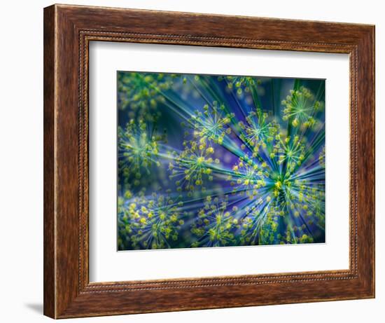 Dill-Ursula Abresch-Framed Photographic Print