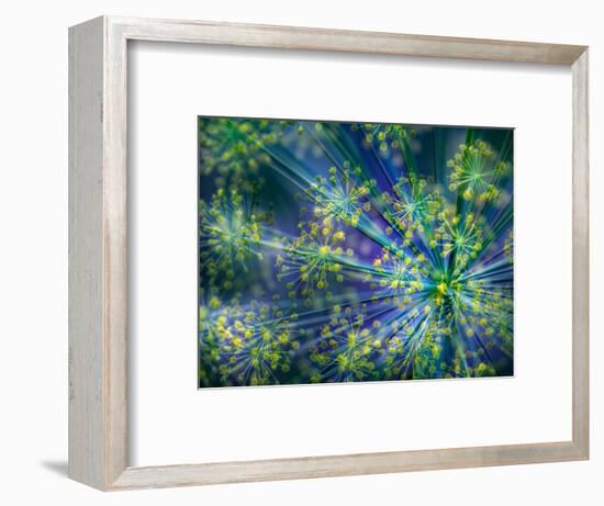 Dill-Ursula Abresch-Framed Photographic Print