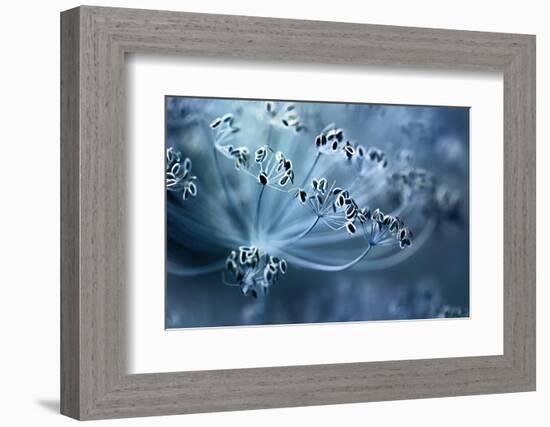 Dill-Mandy Disher-Framed Photographic Print