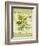 Dill-Kate Ward Thacker-Framed Giclee Print