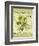 Dill-Kate Ward Thacker-Framed Giclee Print