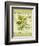 Dill-Kate Ward Thacker-Framed Giclee Print