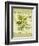 Dill-Kate Ward Thacker-Framed Giclee Print