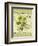 Dill-Kate Ward Thacker-Framed Giclee Print