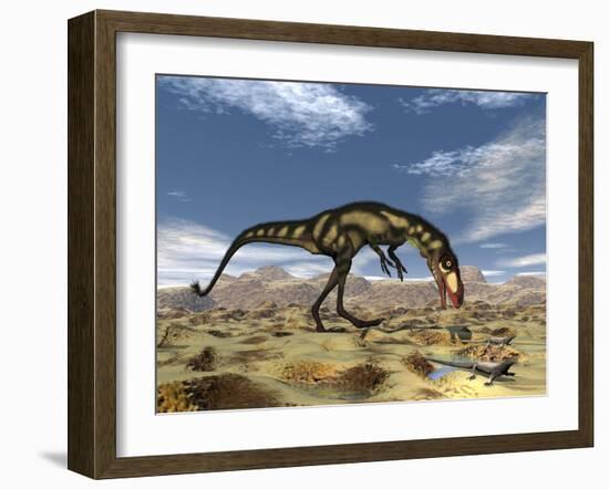 Dilong Dinosaur Hunting Small Lizards in the Desert-Stocktrek Images-Framed Art Print