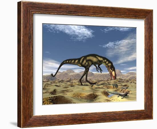 Dilong Dinosaur Hunting Small Lizards in the Desert-Stocktrek Images-Framed Art Print