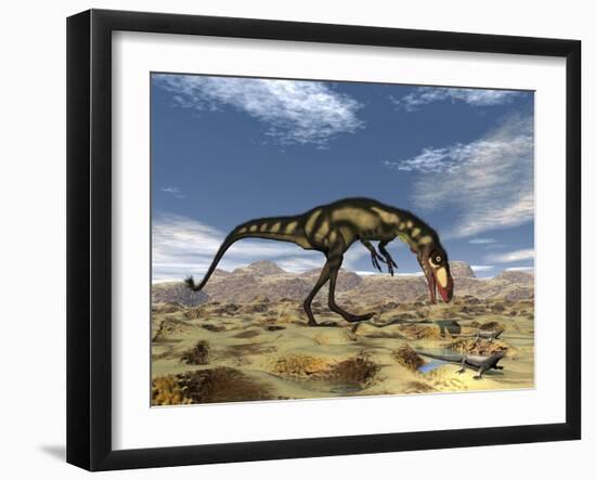 Dilong Dinosaur Hunting Small Lizards in the Desert-Stocktrek Images-Framed Art Print