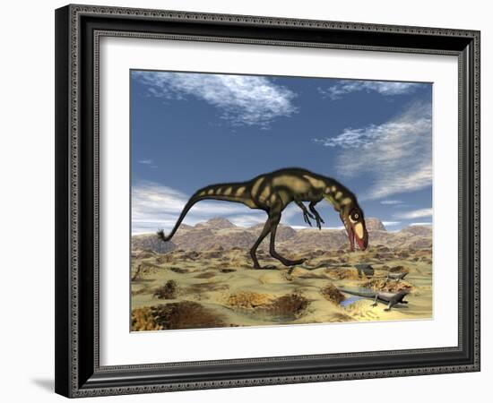 Dilong Dinosaur Hunting Small Lizards in the Desert-Stocktrek Images-Framed Art Print