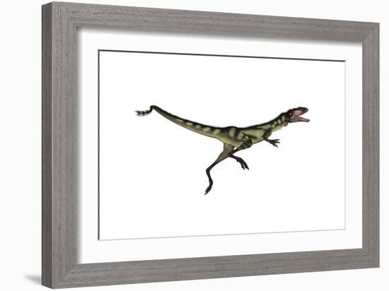 Dilong Dinosaur Jumping-Stocktrek Images-Framed Art Print