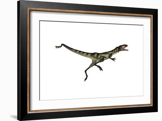 Dilong Dinosaur Jumping-Stocktrek Images-Framed Art Print