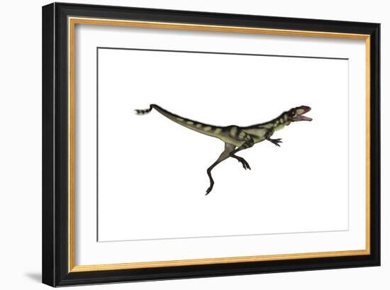 Dilong Dinosaur Jumping-Stocktrek Images-Framed Art Print