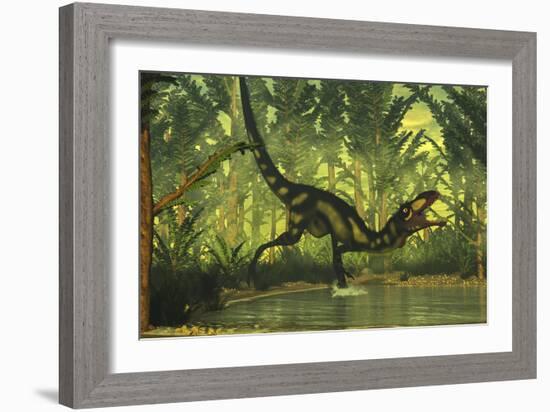 Dilong Dinosaur Running Through a Forest-Stocktrek Images-Framed Art Print