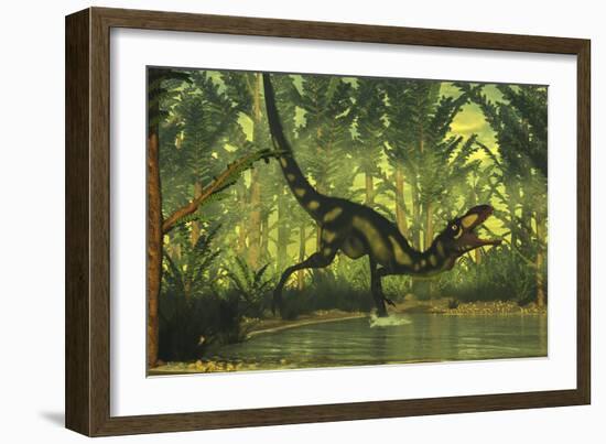 Dilong Dinosaur Running Through a Forest-Stocktrek Images-Framed Art Print