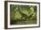 Dilong Dinosaur Running Through a Forest-Stocktrek Images-Framed Art Print