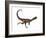 Dilophosaurus Dinosaur-Stocktrek Images-Framed Premium Giclee Print