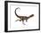 Dilophosaurus Dinosaur-Stocktrek Images-Framed Art Print