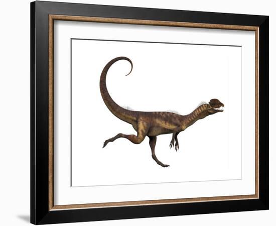 Dilophosaurus Dinosaur-Stocktrek Images-Framed Art Print