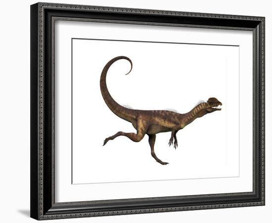 Dilophosaurus Dinosaur-Stocktrek Images-Framed Art Print