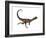 Dilophosaurus Dinosaur-Stocktrek Images-Framed Art Print