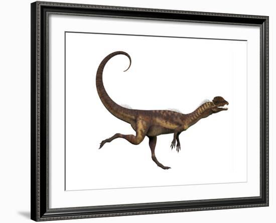 Dilophosaurus Dinosaur-Stocktrek Images-Framed Art Print