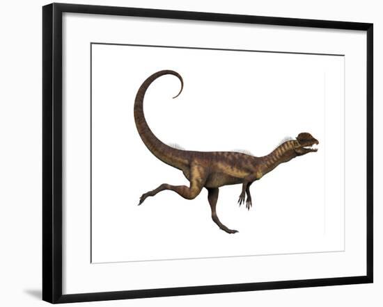 Dilophosaurus Dinosaur-Stocktrek Images-Framed Art Print