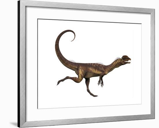 Dilophosaurus Dinosaur-Stocktrek Images-Framed Art Print