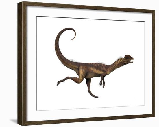 Dilophosaurus Dinosaur-Stocktrek Images-Framed Art Print