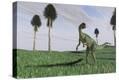 Stretched Canvas Print