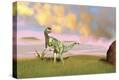 Stretched Canvas Print